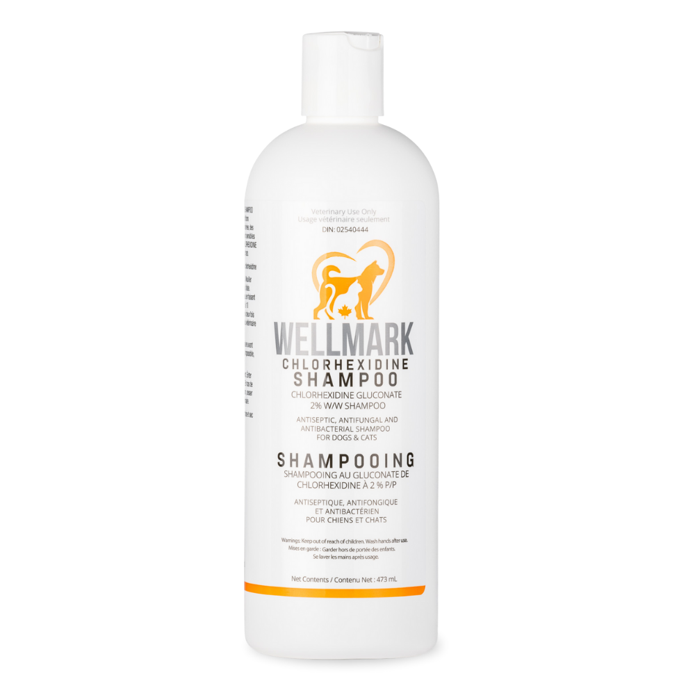 wellmark chlorhexidine shamp