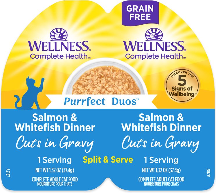 Wellness Cat Duo Sal & Whfish Cuts In Gravy