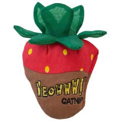 yeoww catnip strawberry choco