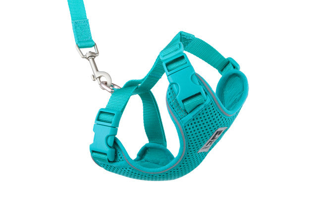 rc adventure kitty small teal