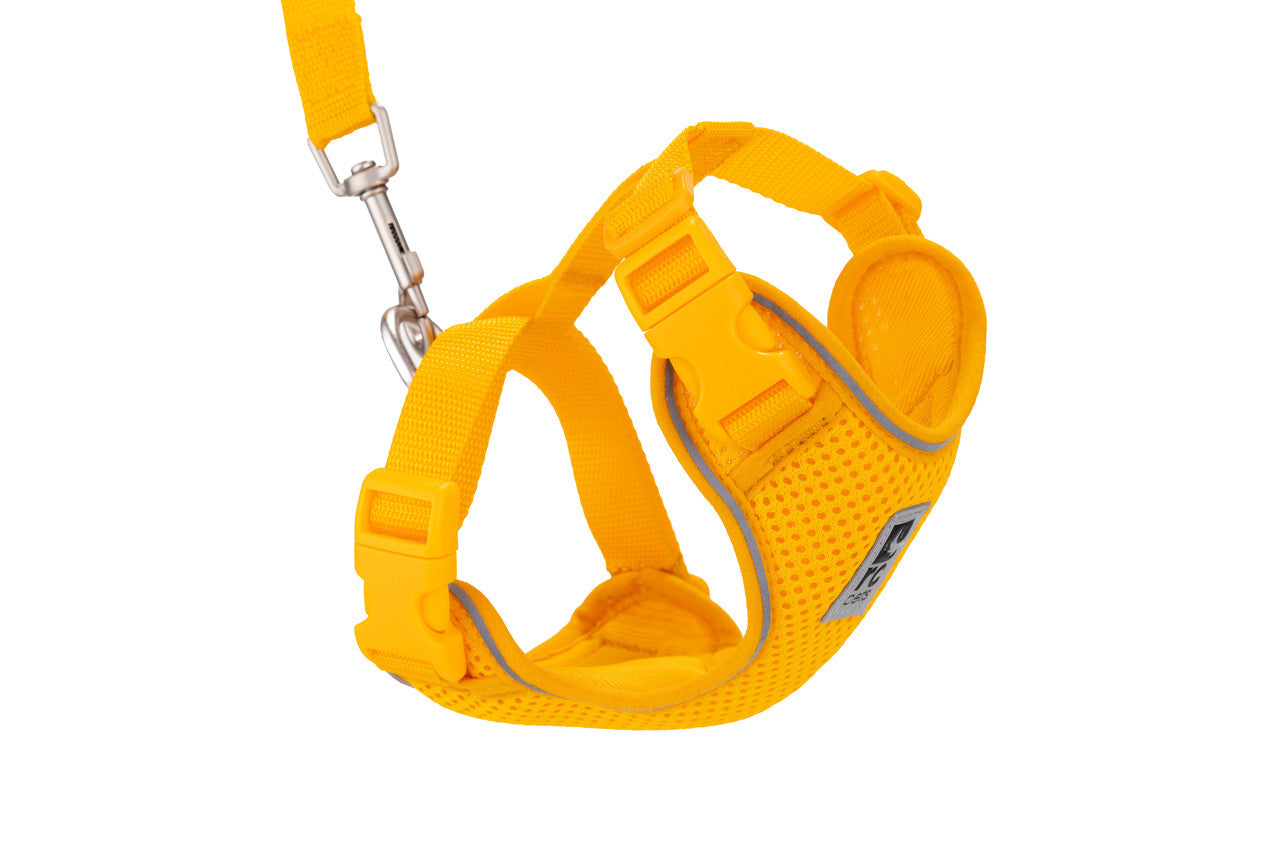 rc adventure kitty L marigold harness
