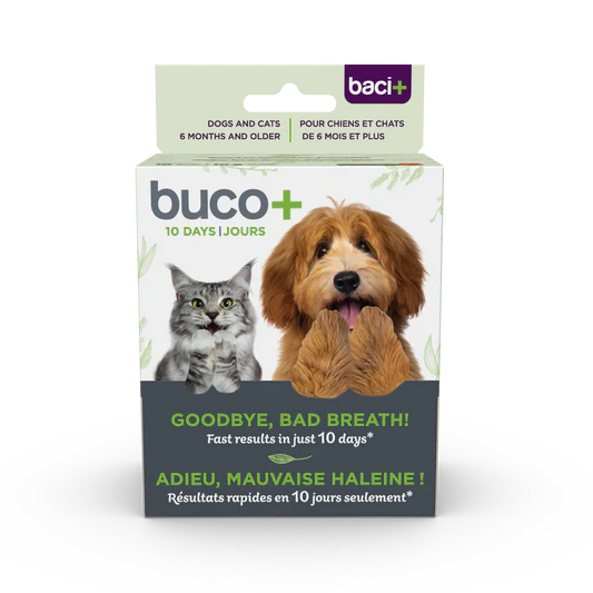 baci+ Buco+ 10day cat & dog 10g