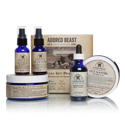 adored bea leaky gut protocol feline