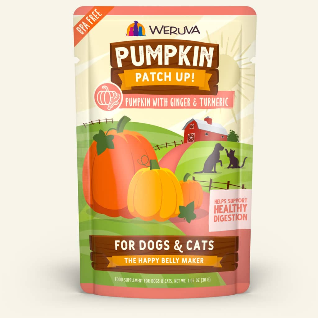 Pumpkin Patch Up 2.8oz ginger
