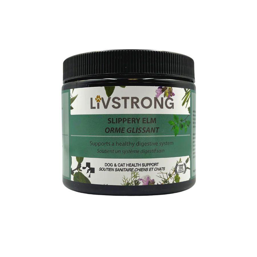 livstrong slipper Elm