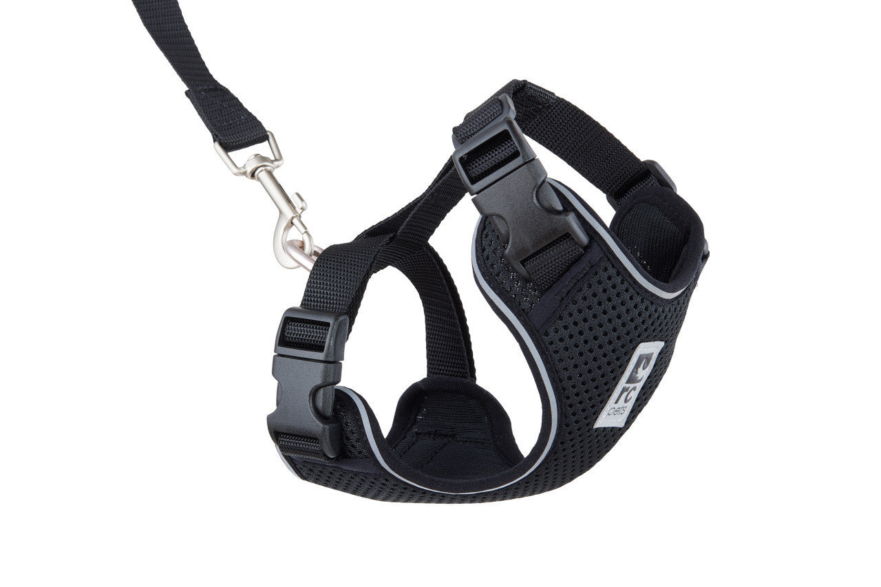 rc adventure kitty med harness