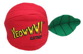 yeoww loween pumpkin