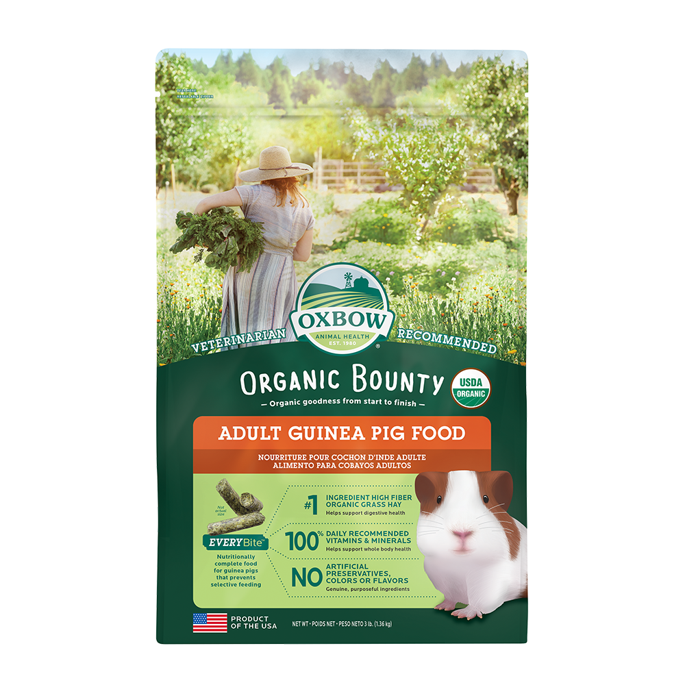 oxbow organic guinea pig 3lb