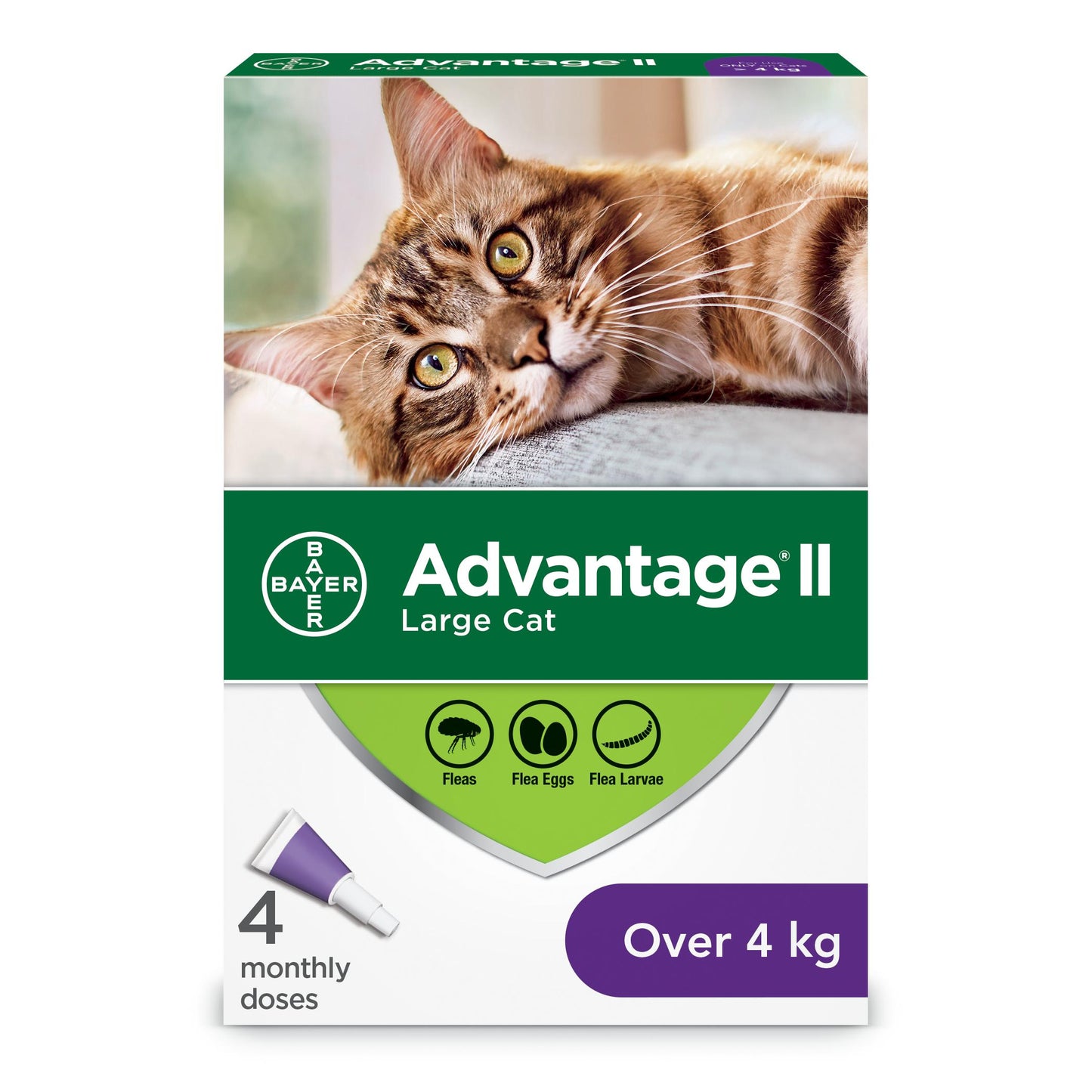 Advantage cat over 4 kg
