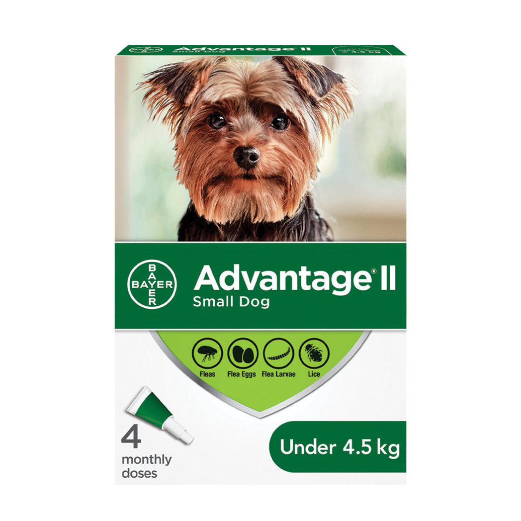 advantage dog 4.5k & under