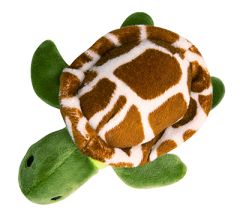 snuggarooz shelldon the turtle