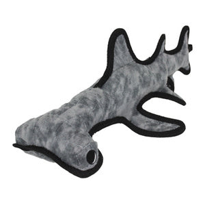 Tuffy dog shark