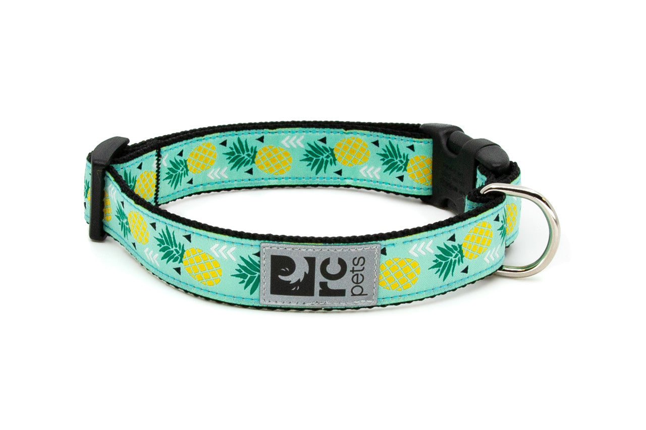 rc clip collar larg pineapple