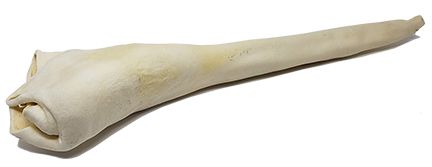Open Range bull tail full