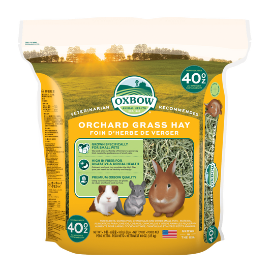 oxbow orchard grass hay 40 oz