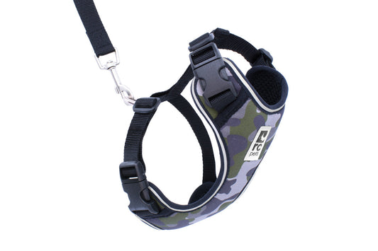 rc adventure kitty L camo harness