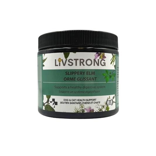 livstrong slipper Elm