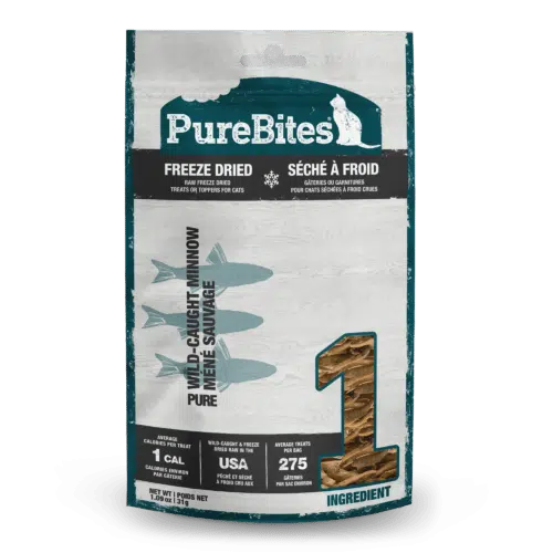 purebites cat 31g minnows