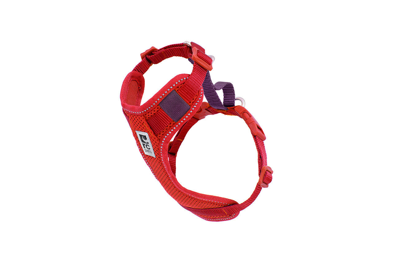 rc moto harness goji med