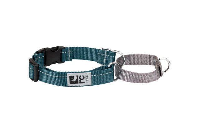 rc web training collar xs teal